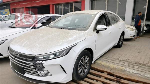 BYD Destroyer 05 2025 for sale in Iraq - Baghdad